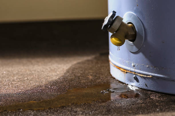 Best Flood damage cleanup  in Mount Airy, GA