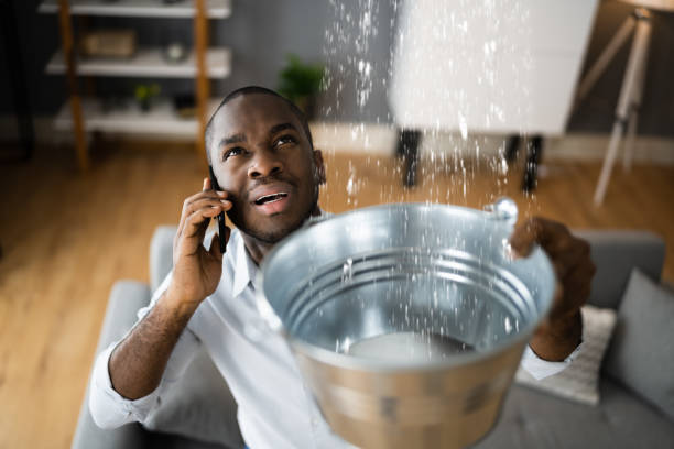 Best Ceiling water damage repair  in Mount Airy, GA
