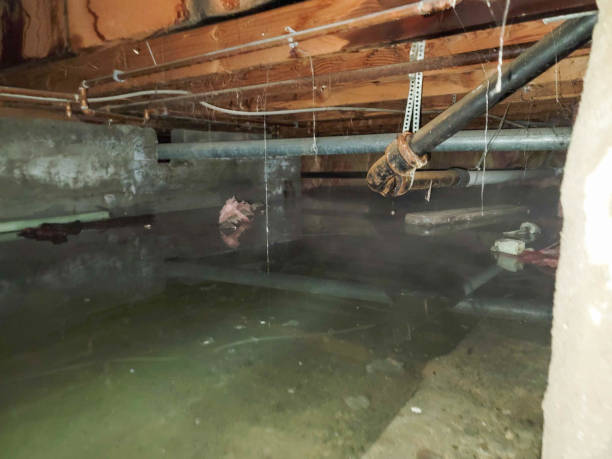 Trusted Mount Airy, GA Water damage restoration Experts