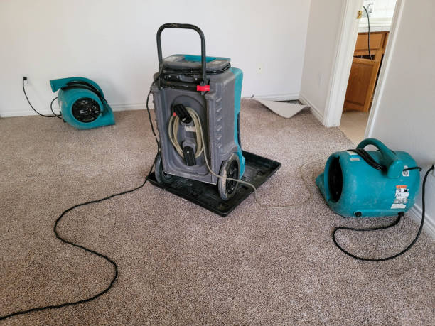 Best Carpet water damage restoration  in Mount Airy, GA