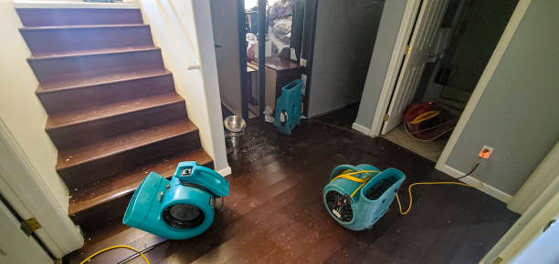 Best Residential water damage restoration  in Mount Airy, GA