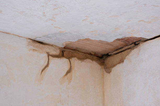 Best Water damage restoration experts  in Mount Airy, GA