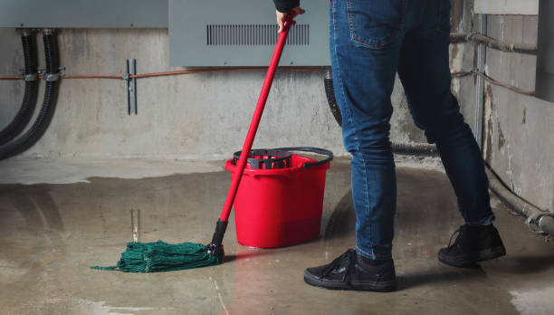 Water damage restoration experts in Mount Airy, GA