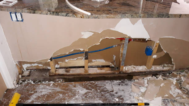 Best Carpet water damage restoration  in Mount Airy, GA