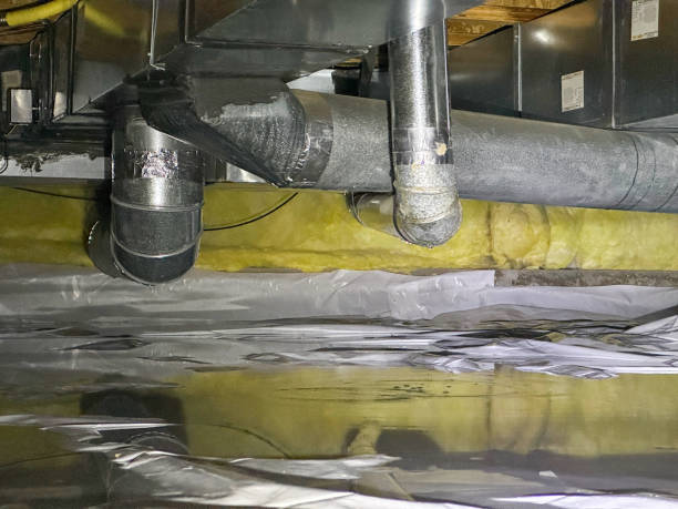 Best Water damage cleanup near me  in Mount Airy, GA