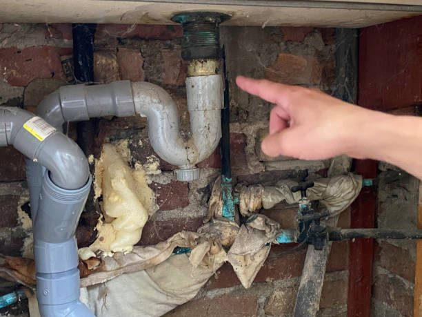  Mount Airy, GA Water damage restoration Pros