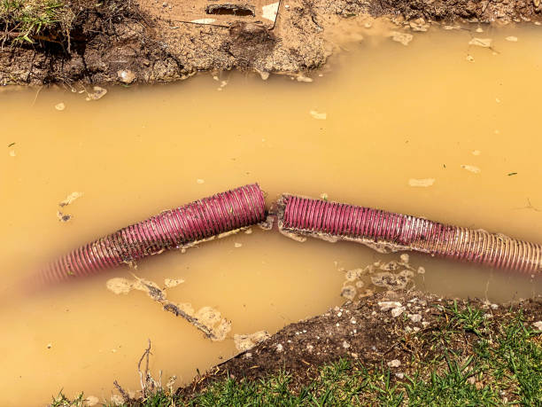 Best Emergency water extraction  in Mount Airy, GA